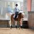 Dressage Clinic with Katherine Mashbir